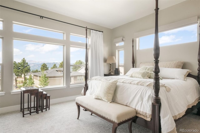 1070 Panoramic Dr, Monument, CO 80132 - photo 19