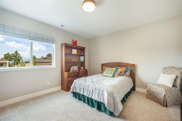 1070 Panoramic Dr, Monument, CO 80132 - photo 33