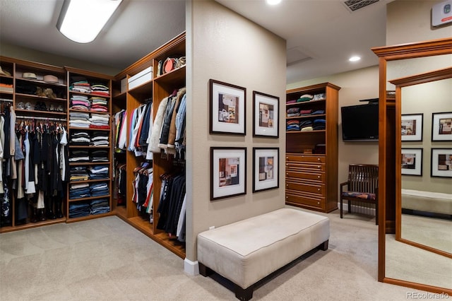 spacious closet with light carpet