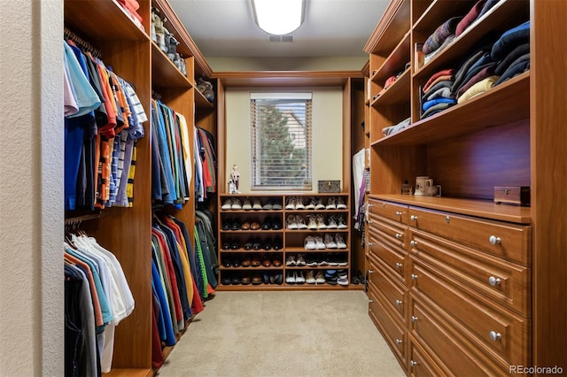 spacious closet featuring light colored carpet