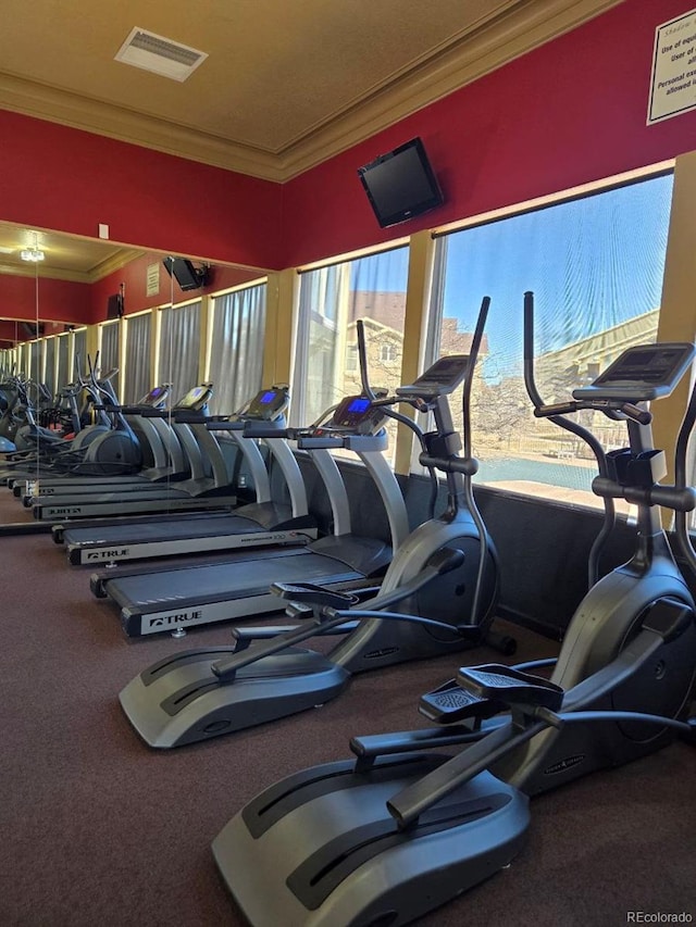 workout area featuring visible vents and ornamental molding