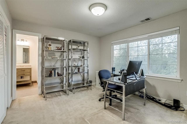 2464 Ginny Way, Lafayette, CO 80026 - office space featuring healthy amount of natural light, carpet, and baseboards