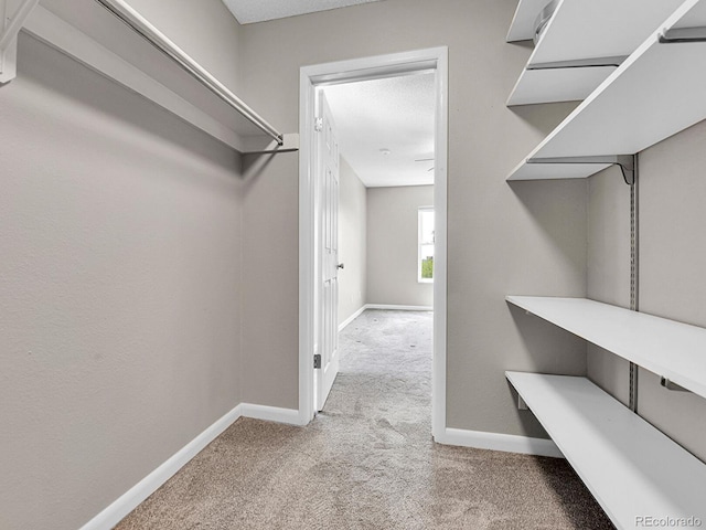 579 Wright St Unit 307, Lakewood, CO 80228 - photo 17