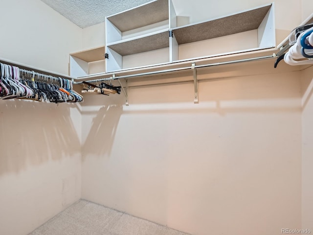 walk in closet featuring carpet floors