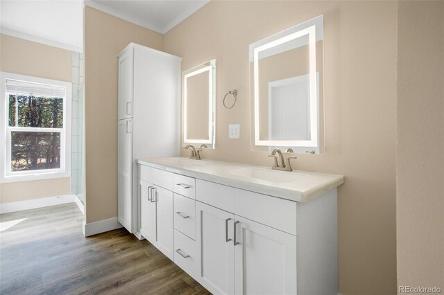 bathroom featuring wood-type flooring and vanity