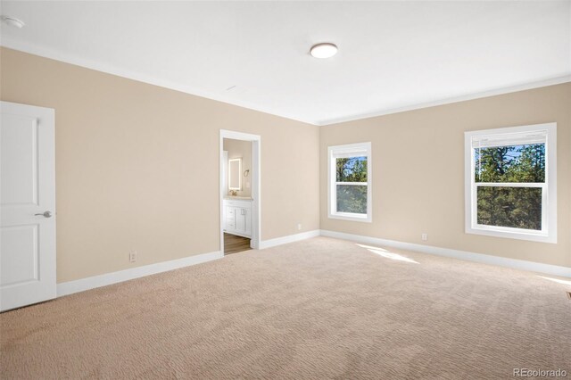 spare room with light carpet and plenty of natural light