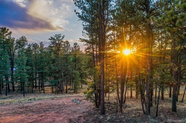 view of nature at dusk