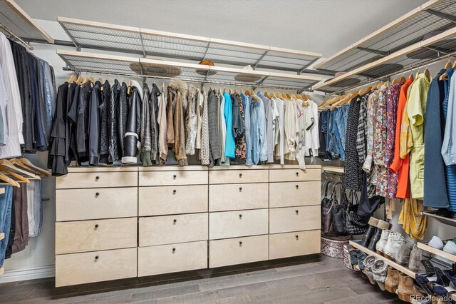 spacious closet featuring wood finished floors