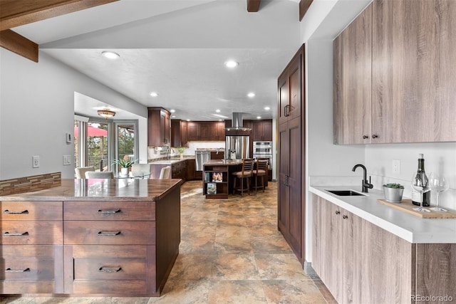 kitchen with stainless steel appliances, ventilation hood, and sink