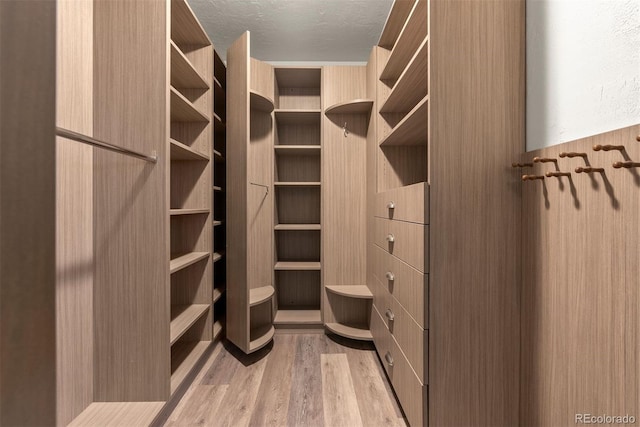 walk in closet featuring light hardwood / wood-style floors