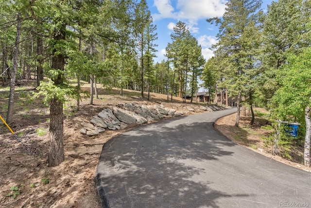 7845 Armadillo Trl, Evergreen, CO 80439 - photo 43
