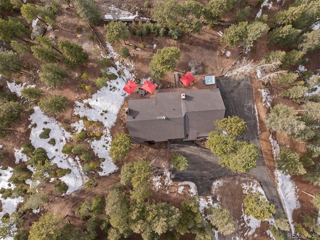 7845 Armadillo Trl, Evergreen, CO 80439 - photo 48