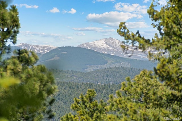7845 Armadillo Trl, Evergreen, CO 80439 - photo 49