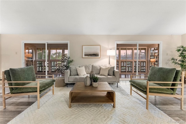 living room with light hardwood / wood-style flooring