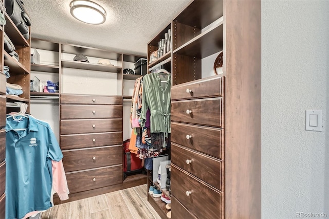 walk in closet with light hardwood / wood-style flooring