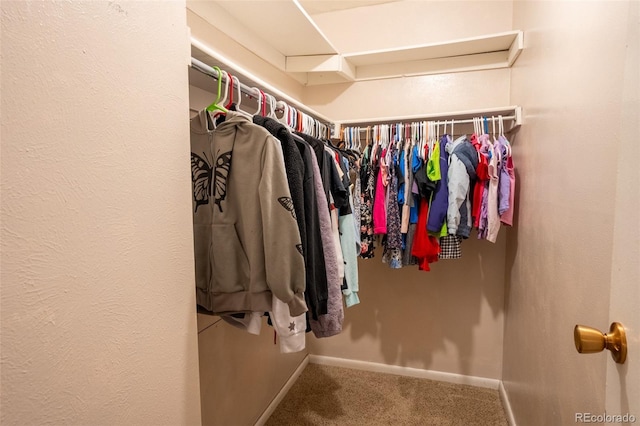 10050 Holland Ct, Broomfield, CO 80021 - walk in closet with carpet