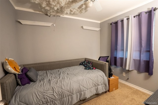 10050 Holland Ct, Broomfield, CO 80021 - photo 12