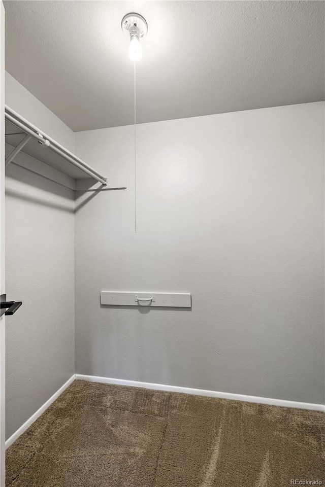 spacious closet featuring carpet
