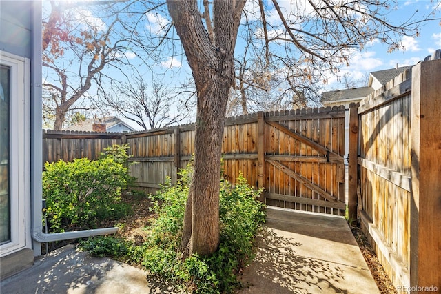 view of gate featuring fence private yard