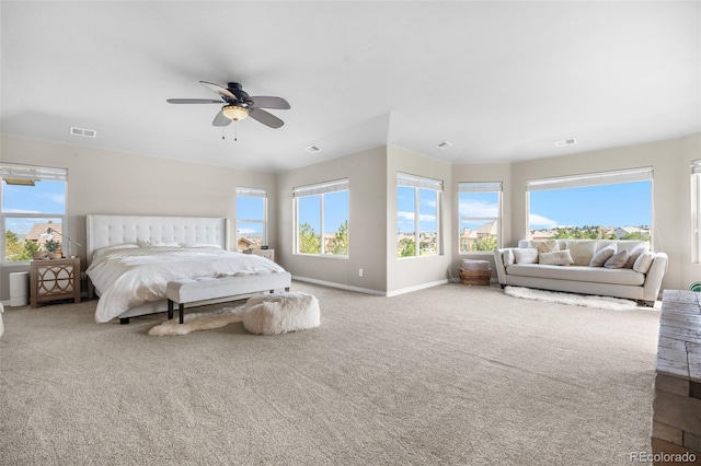6635 Tremolite Dr, Castle Rock, CO 80108 - photo 18