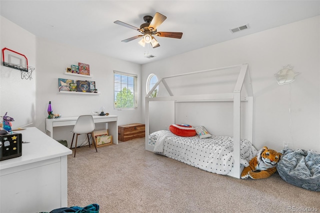 6635 Tremolite Dr, Castle Rock, CO 80108 - photo 22