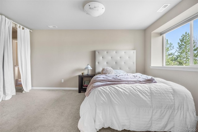 6635 Tremolite Dr, Castle Rock, CO 80108 - photo 31