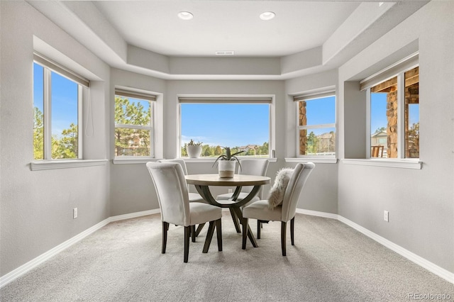 6635 Tremolite Dr, Castle Rock, CO 80108 - photo 32