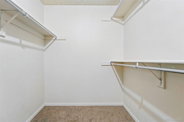 10102 W Ida Ave Unit 214, Littleton, CO 80127 - spacious closet with carpet flooring