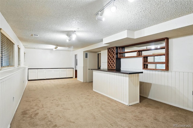 10102 W Ida Ave Unit 214, Littleton, CO 80127 - basement with track lighting, carpet, a dry bar, wainscoting, and a textured ceiling