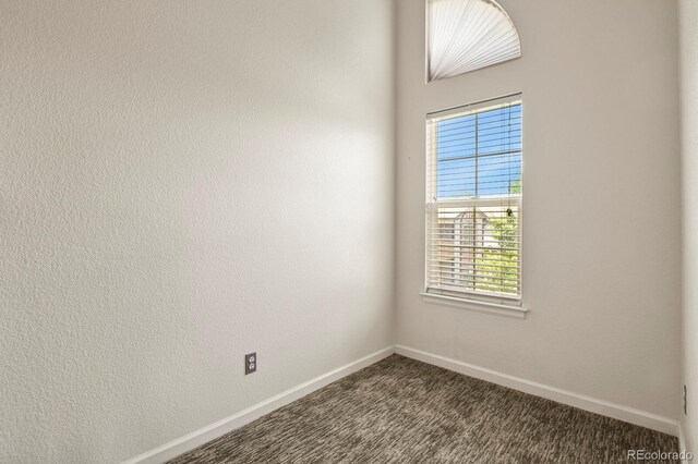 11085 Huron St Unit 1108, Northglenn, CO 80234 - carpeted spare room with baseboards