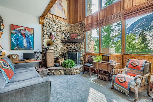 819 Valley View Dr, Georgetown, CO 80444 - photo 4
