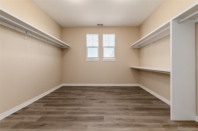 spacious closet featuring dark wood-type flooring