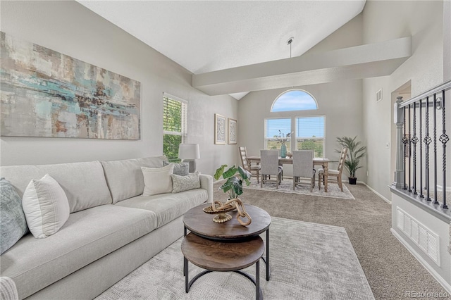 901 Sage Sparrow Cir, Highlands Ranch, CO 80129 - living area with carpet flooring, baseboards, and high vaulted ceiling