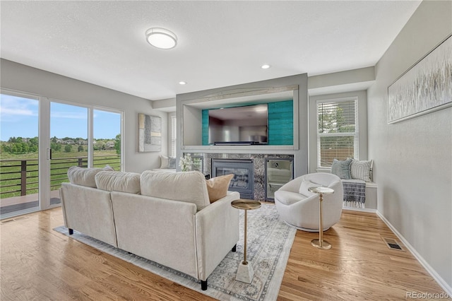 901 Sage Sparrow Cir, Highlands Ranch, CO 80129 - living area featuring a glass covered fireplace, light wood-style floors, baseboards, and recessed lighting