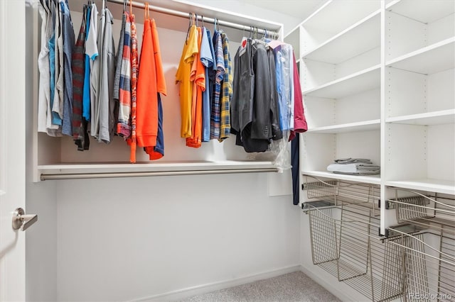 2958 Syracuse St Unit 316, Denver, CO 80238 - walk in closet with carpet