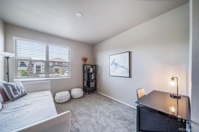 17028 Osage St, Broomfield, CO 80023 - office space with carpet and baseboards