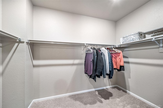 17028 Osage St, Broomfield, CO 80023 - spacious closet featuring carpet floors