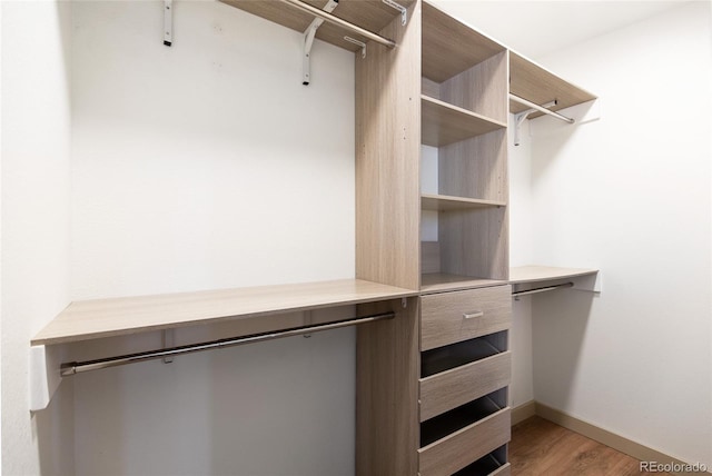 spacious closet featuring light wood-style flooring