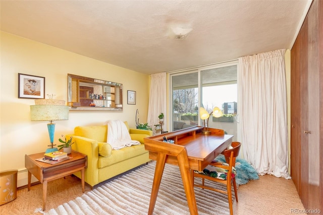 view of living area