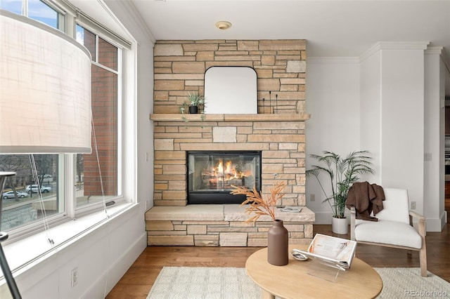 living area featuring ornamental molding, a fireplace, and wood finished floors