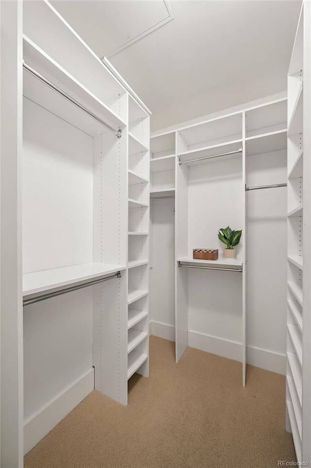 walk in closet with carpet