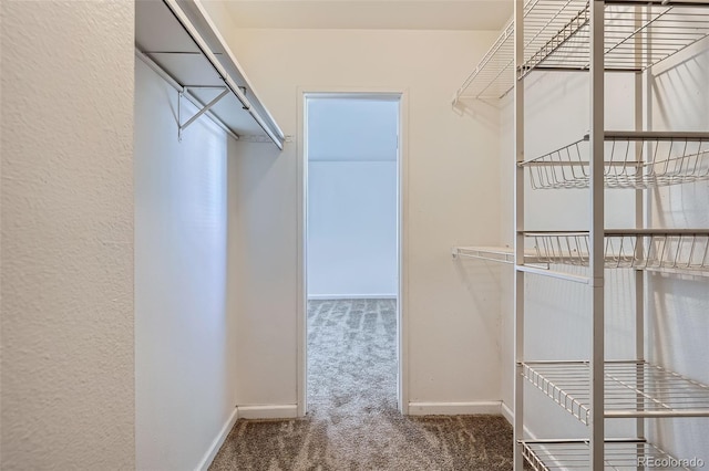 spacious closet featuring carpet flooring