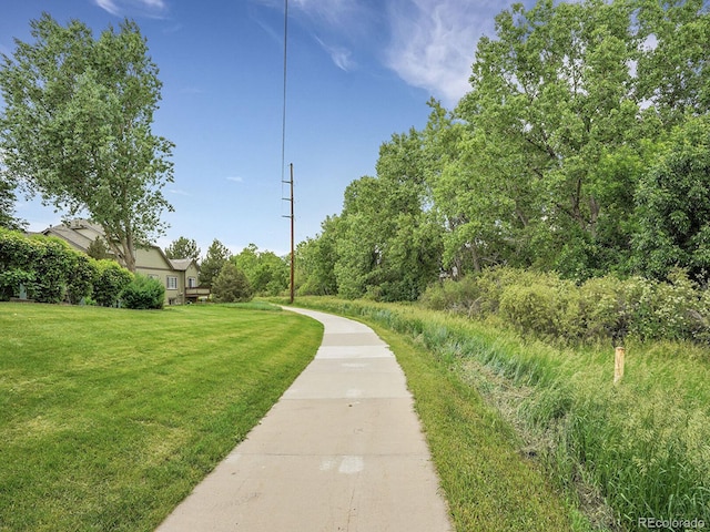 4501 S Tabor Ct, Morrison, CO 80465 - photo 32