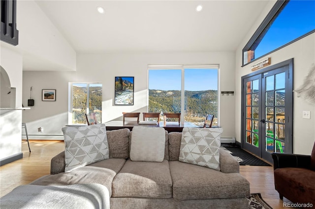 living room featuring hardwood / wood-style flooring, a baseboard radiator, and a mountain view