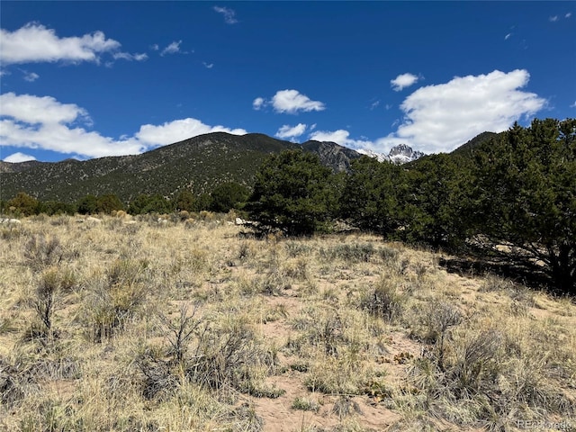 4438 Rarity Ct, Crestone, CO 81131