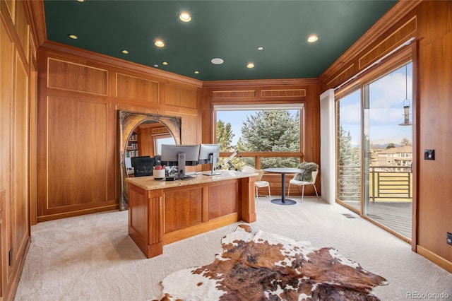 2421 Ranch Reserve Rdg, Denver, CO 80234 - office area with light colored carpet, crown molding, wood walls, and recessed lighting