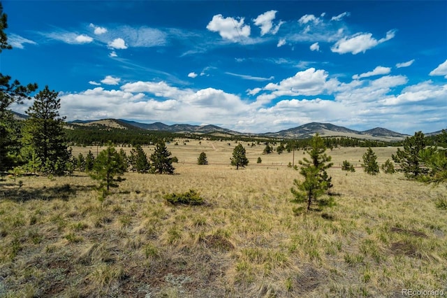 128 Nancy Ann Arroyo, Guffey, CO 80820 - photo 1