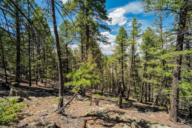 128 Nancy Ann Arroyo, Guffey, CO 80820 - photo 2