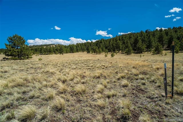 128 Nancy Ann Arroyo, Guffey, CO 80820 - photo 4