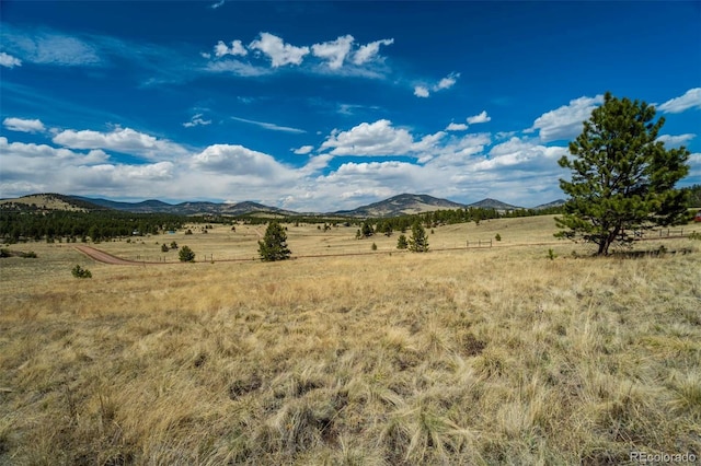 128 Nancy Ann Arroyo, Guffey, CO 80820 - photo 5